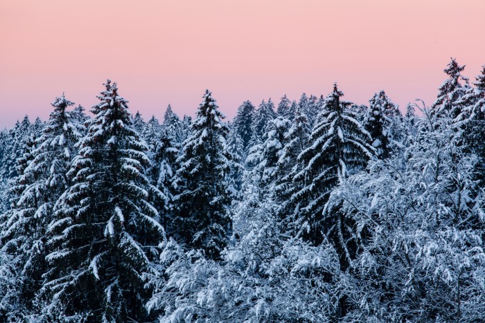 Glastr&auml;gerwald I